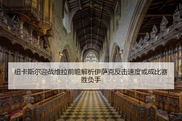 纽卡斯尔迎战维拉前瞻解析伊萨克反击速度或成比赛胜负手